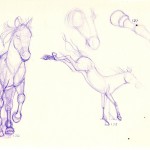 ballpoint pen sketches of horses