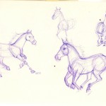 sketches of horses running