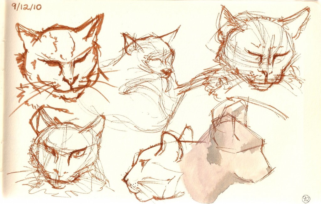 drawings of a cat
