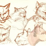drawings of a cat