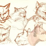 drawings of a cat