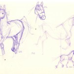 sketches of horses