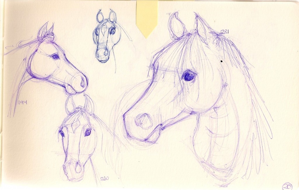 ballpoint pen sketches of horse heads