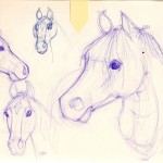 ballpoint pen sketches of horse heads