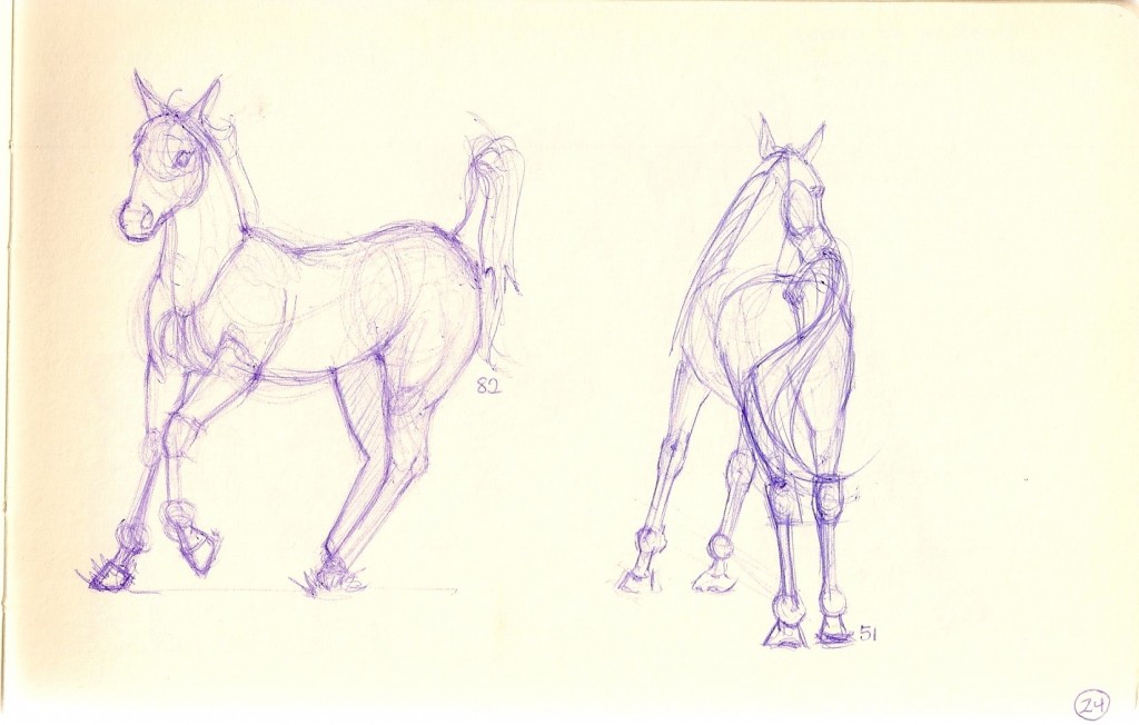 sketches of horses