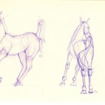sketches of horses