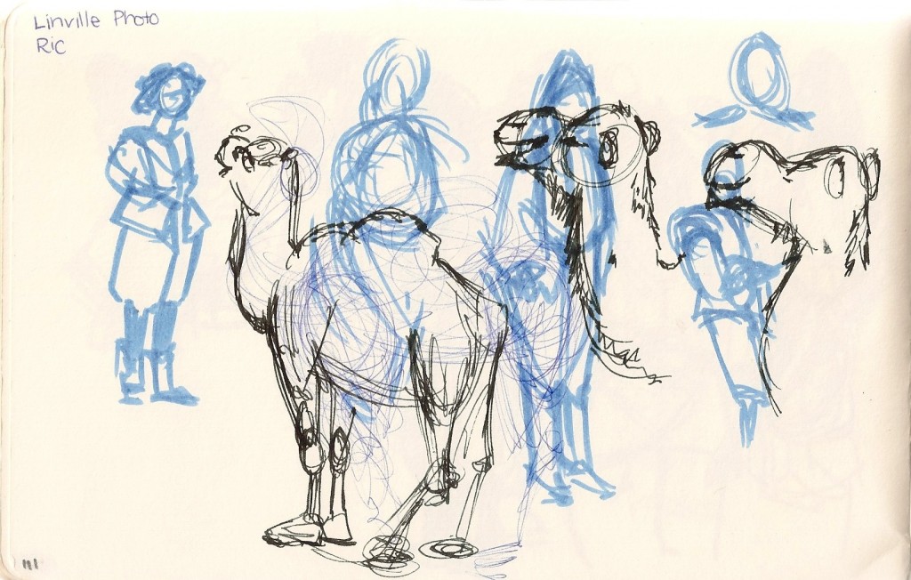 sketch of a camel