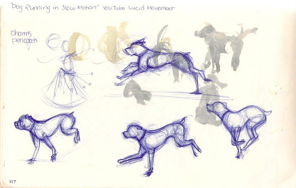 sketches of dog running