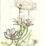 ballpoint and watercolor sketch of white flowers
