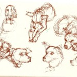 drawings of a labrador retriever