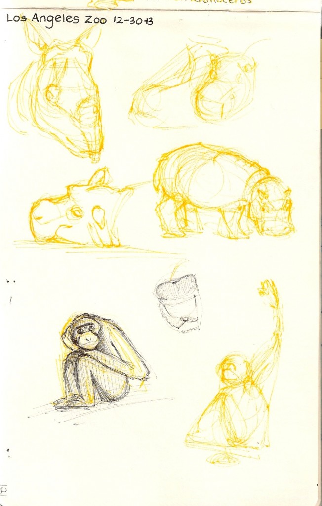 zoo sketches