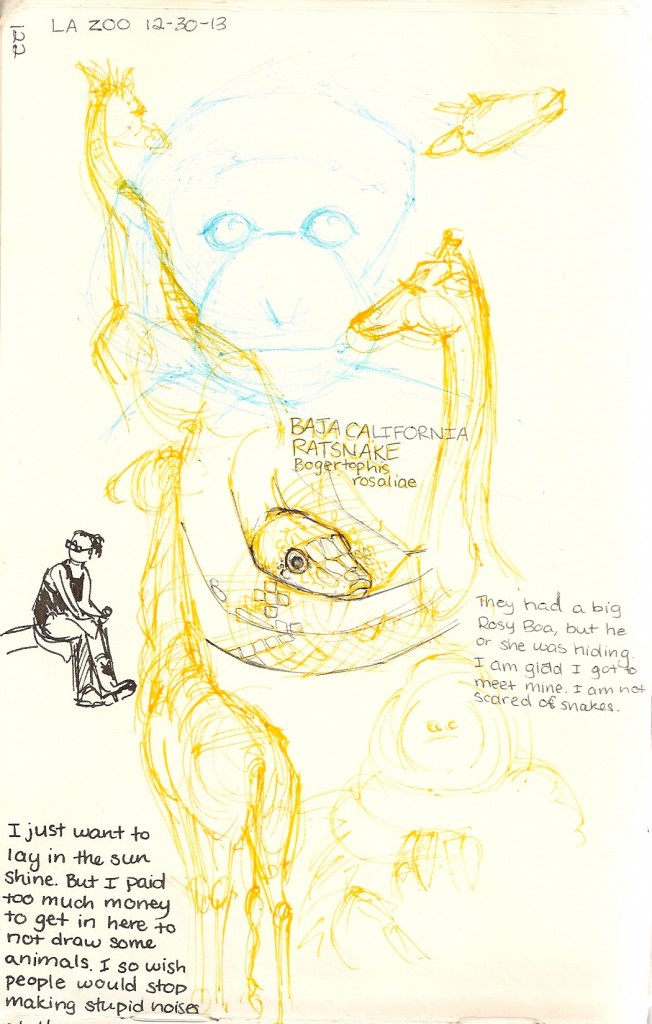 zoo zketches