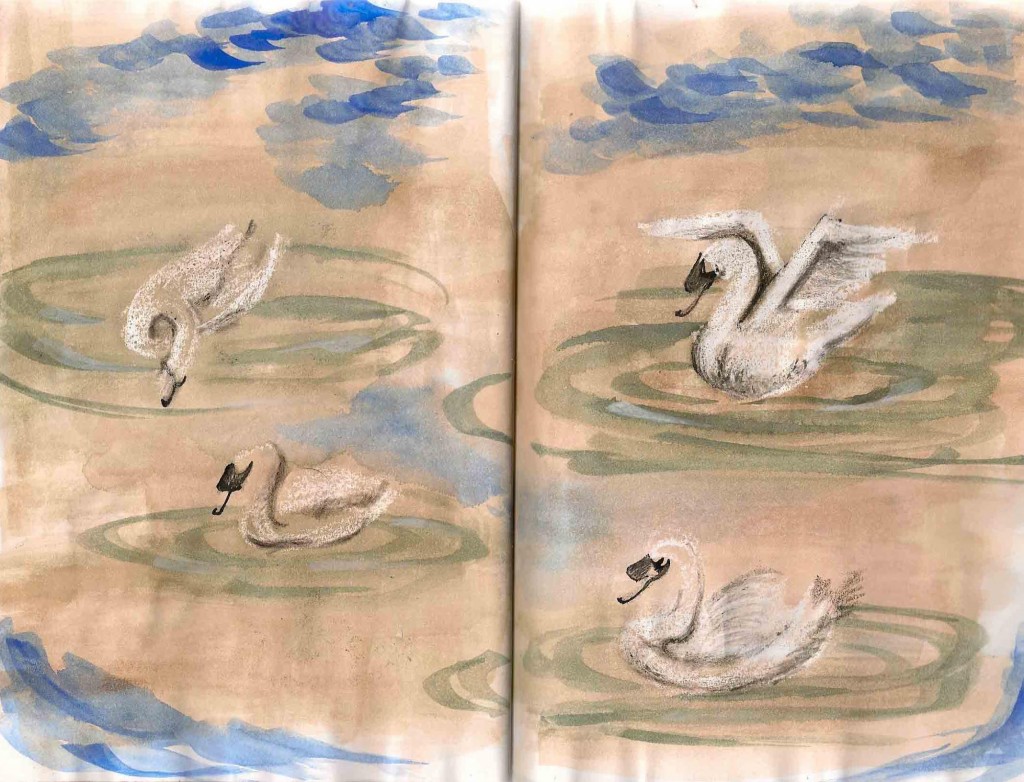 sketch of swans in a pond in Marie Antoinette's Hammeau