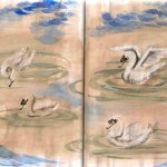 sketch of swans in a pond in Marie Antoinette's Hammeau