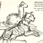 sketch of a tiger and other animals at the Natural History Museum.