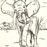 sketch of an Elephant at the Natural History Museum.