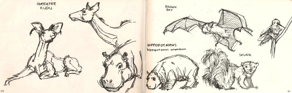 sketches of animals from Natural History Museum Los Angeles
