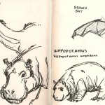 sketches of animals from Natural History Museum Los Angeles