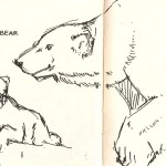 pen sketch of polar bears from Natural History Museum Los Angeles