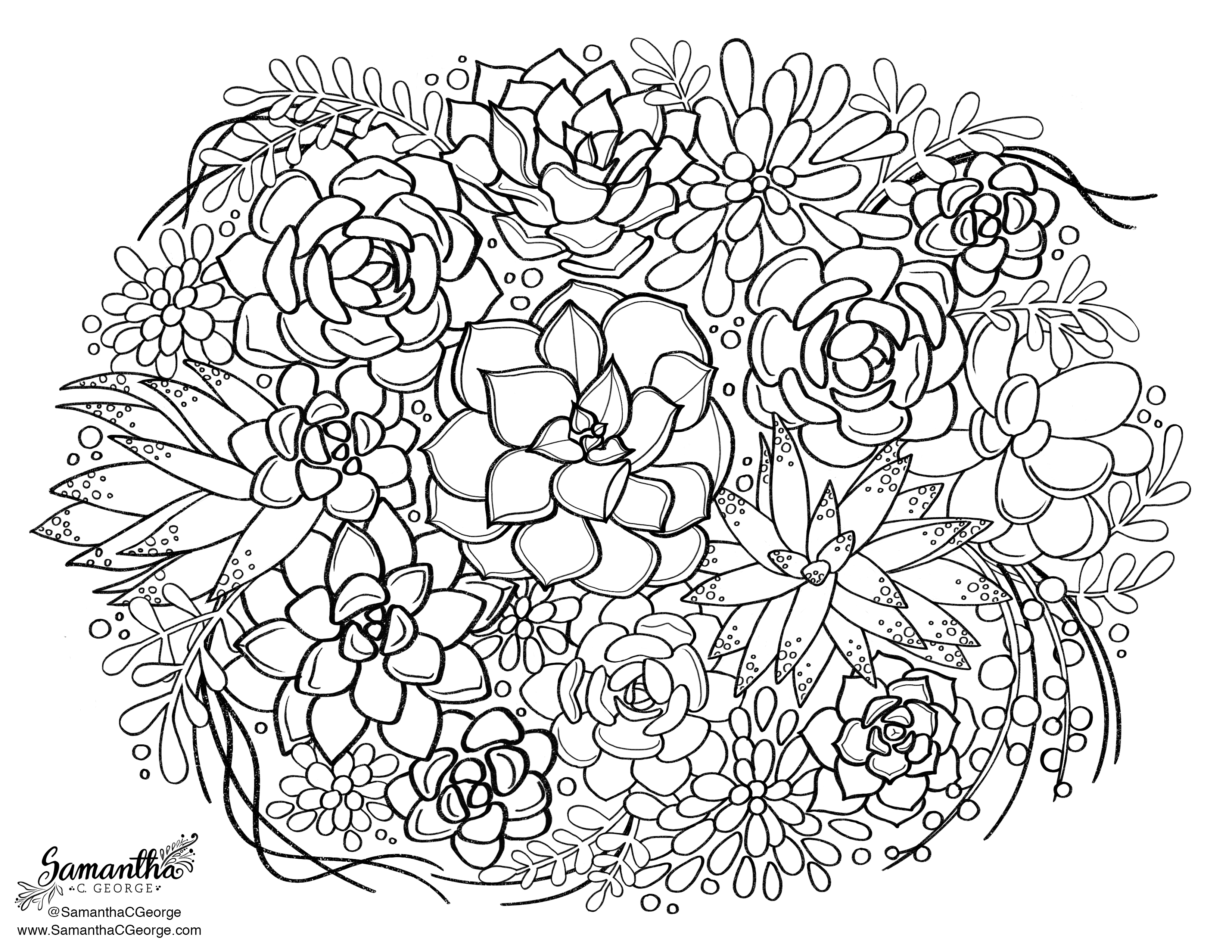 Succulent Coloring Page – Samantha C George