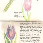 painting of tulips
